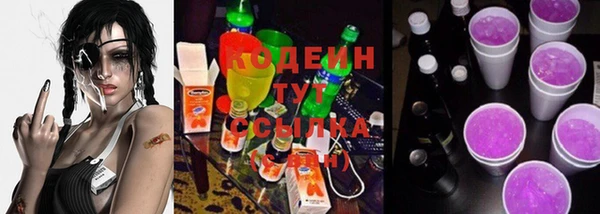СК Инта
