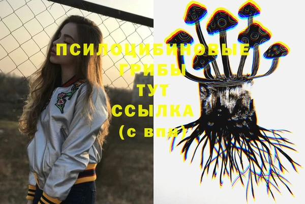 СК Инта