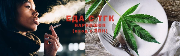СК Инта