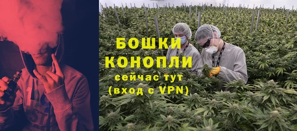 СК Инта