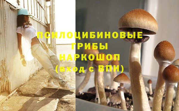 кокаин премиум Инсар