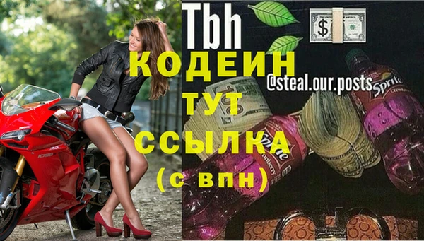 СК Инта