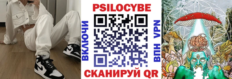 Купить  Сясьстрой  Галлюциногенные грибы мухоморы 