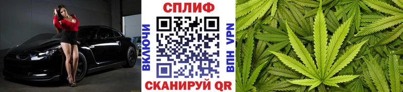 Купить  Сясьстрой  Бошки Шишки ГИДРОПОН 