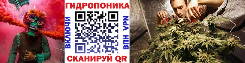 МАРИХУАНА Amnesia Сясьстрой